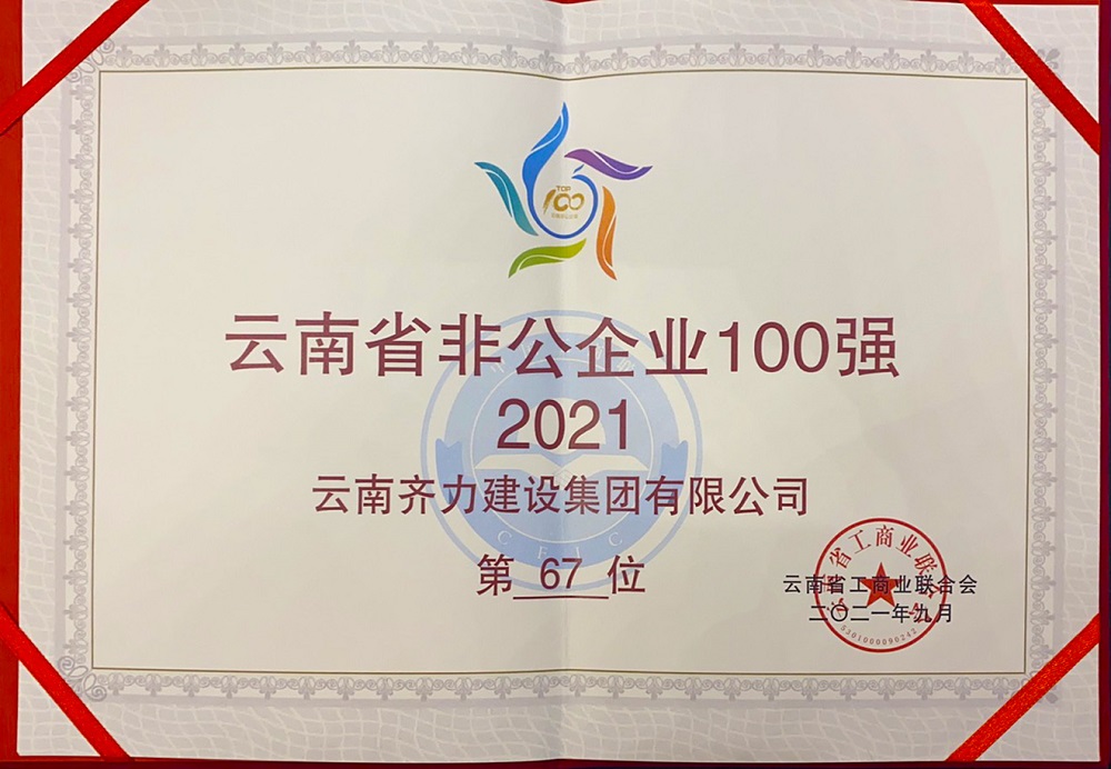 2021年云南省非公企业100强