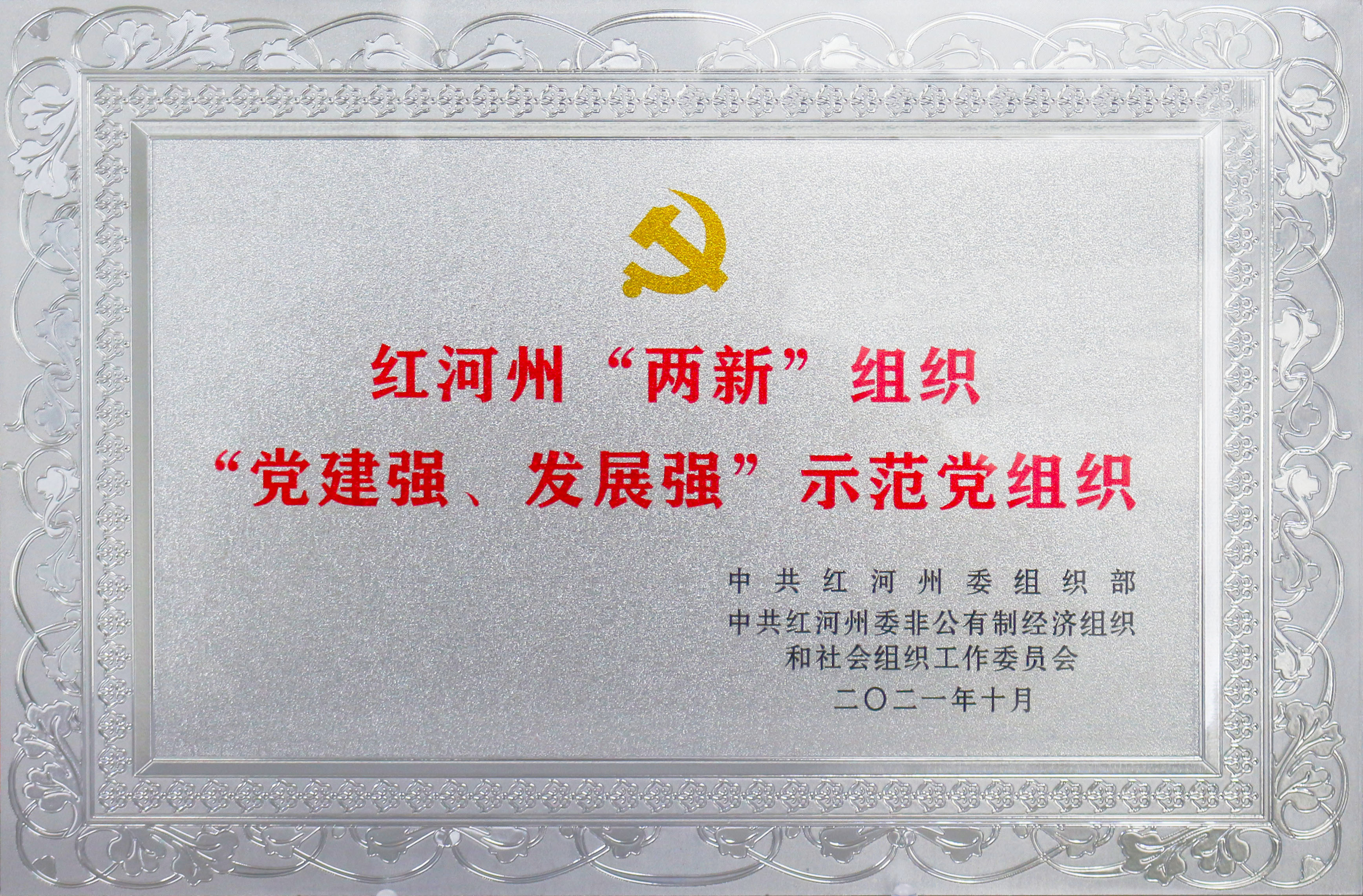 红河州两新党组织“党建强·发展强”示范党组织